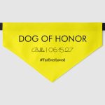 Personalize this moisture-wicking pet bandana collar—adjustable buckle, leash-ready D-ring, perfect gift for pet lovers.